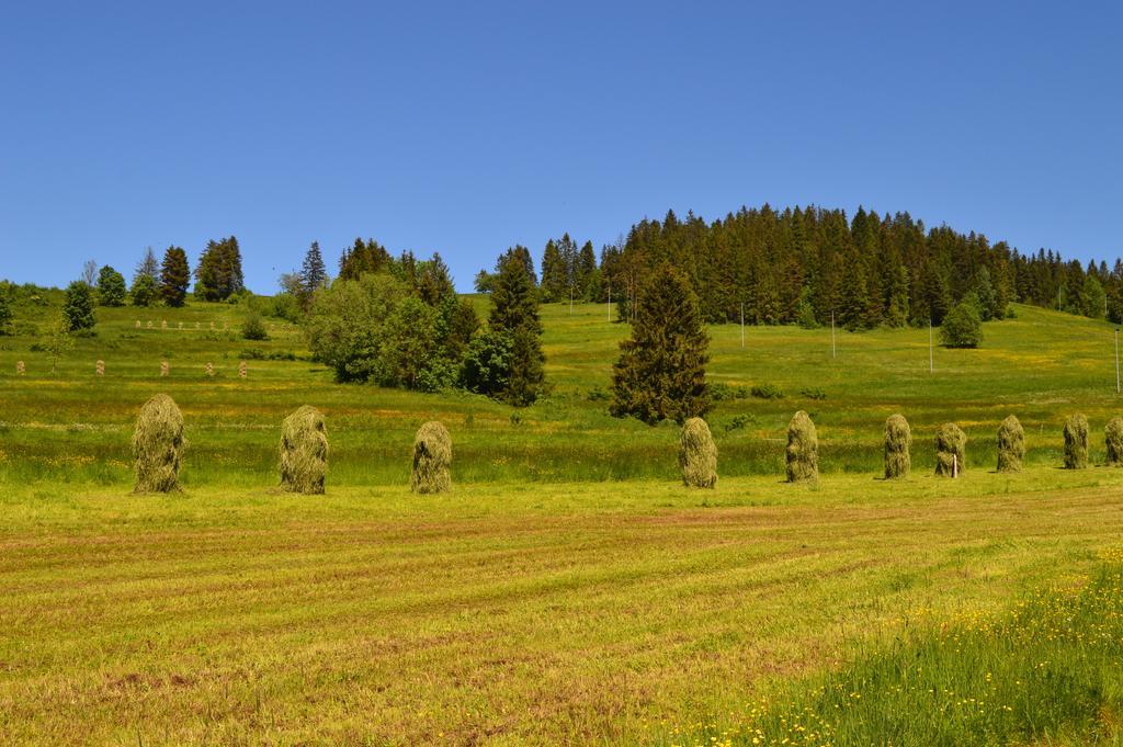 Montenero Resort&Spa Czarna Góra Екстериор снимка
